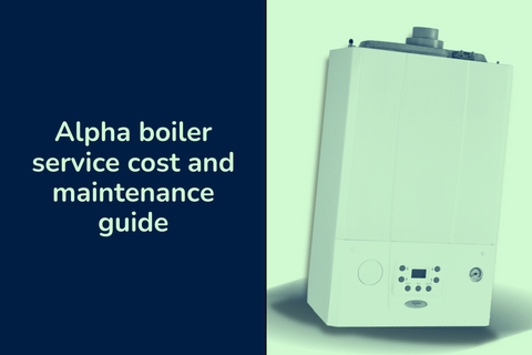 Alpha boiler service cost and maintenance guide